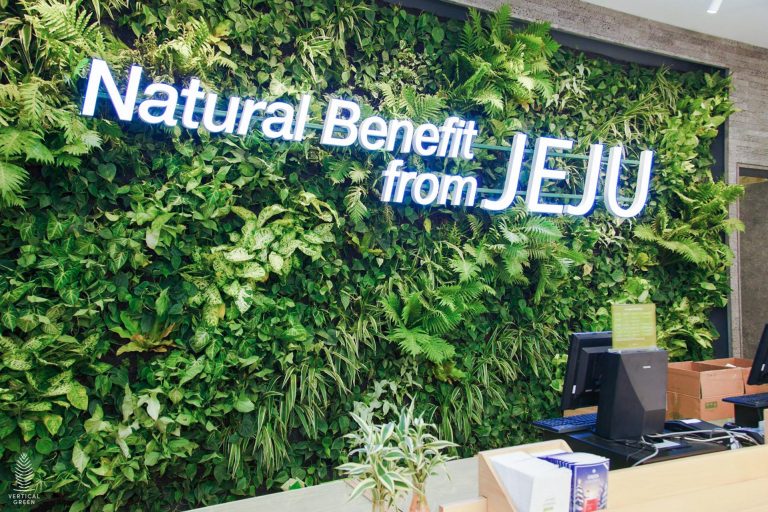 beautiful Green wall plants Innisfree Paradigm Malaysia