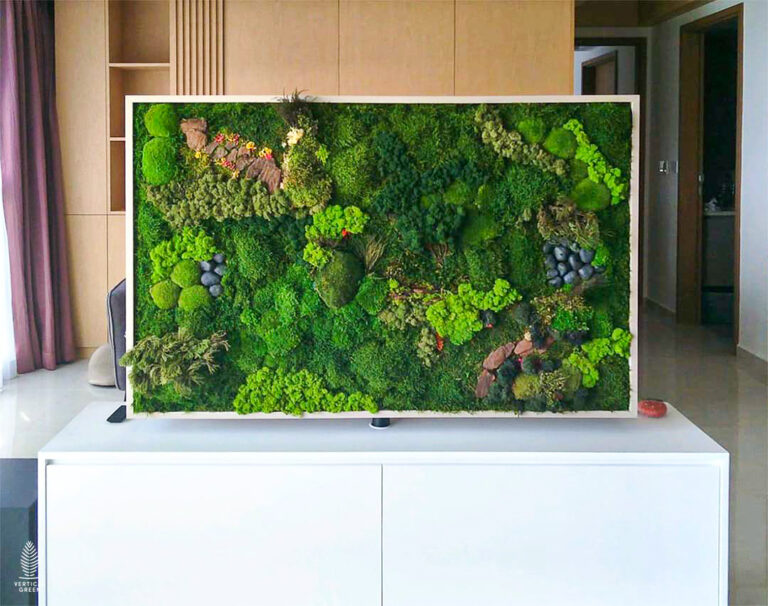 Moss Wall Preserved Wall Singapore Malaysia Philippines Office Design Interior Design