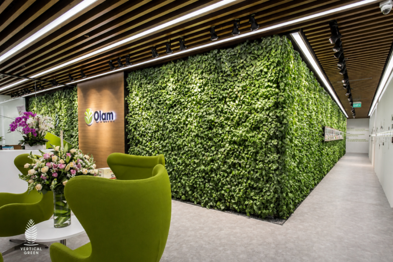 Modern corporate reception featuring a full-height living green wall, contemporary lounge seating, timber ceiling details and a bright office corridor.