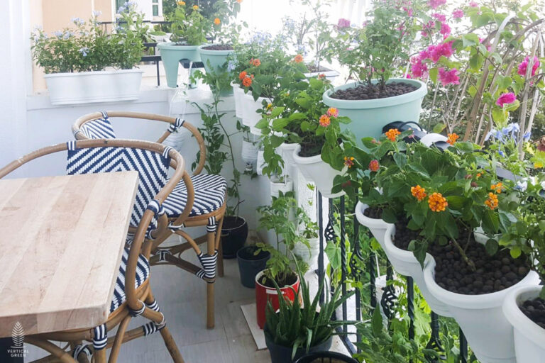 Live Tree Live Potted Plant Office Design Interior Design Vertical Green Singapore Malaysia Philippines Vertical Green Global