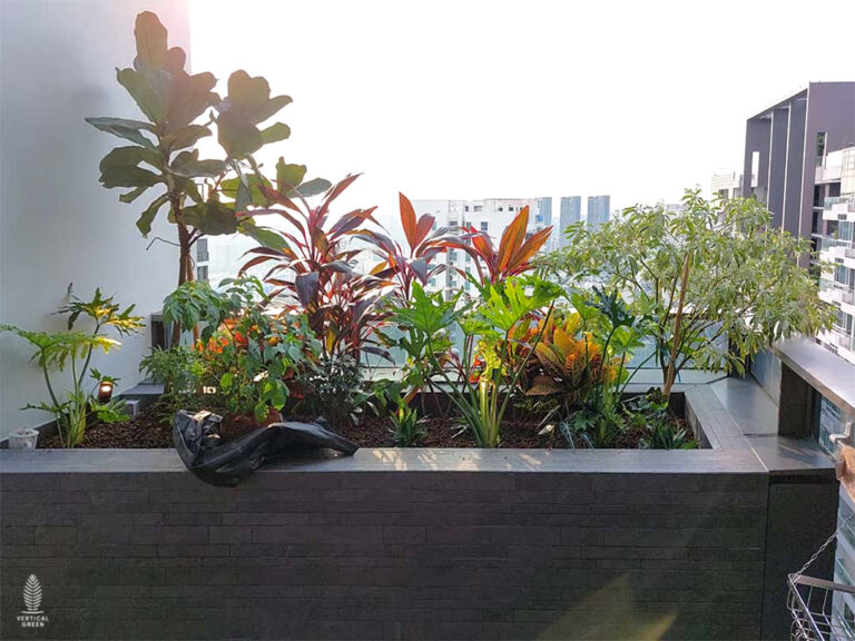 Live Tree Live Potted Plant Office Design Interior Design Vertical Green Singapore Malaysia Philippines Vertical Green Global