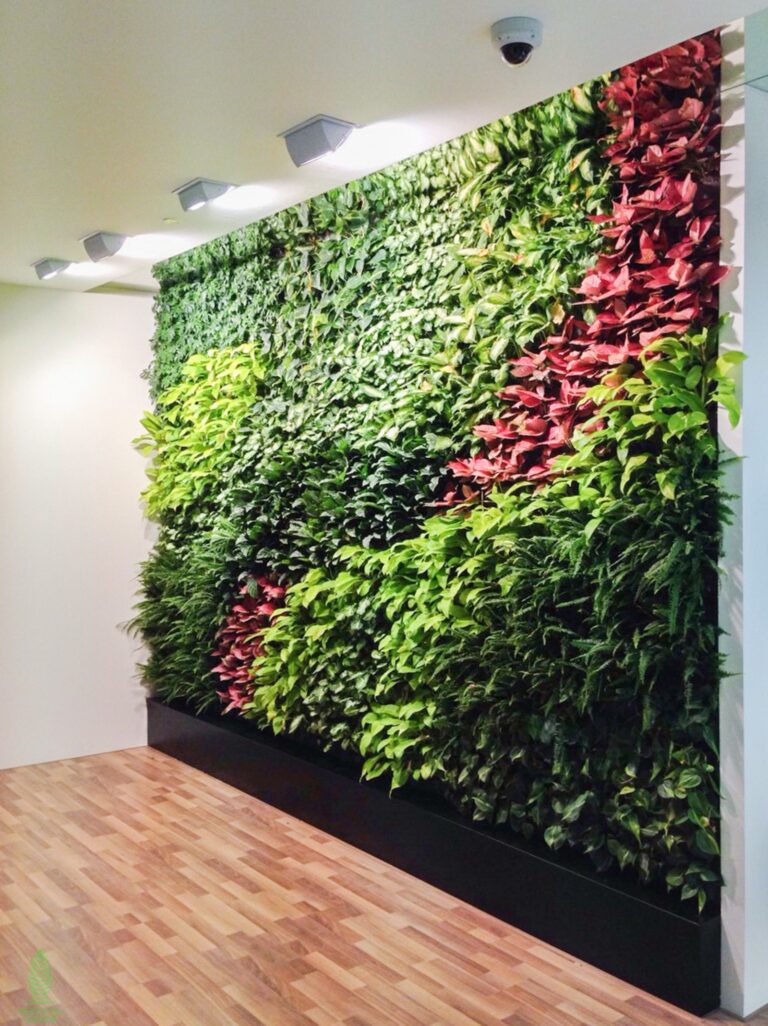 Abbvie Vertical Green Live Green Wall Singapore Malaysia Philippines Interior Design Office Design
