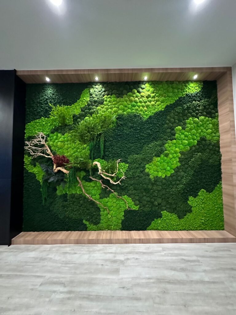 Moss Wall Preserved Wall Singapore Malaysia Philippines Office Design Interior Design