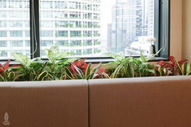 Live Tree Live Potted Plant Office Design Interior Design Vertical Green Singapore Malaysia Philippines Vertical Green Global