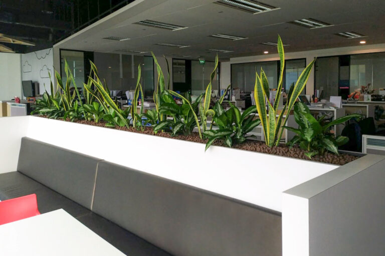Live Tree Live Potted Plant Office Design Interior Design Vertical Green Singapore Malaysia Philippines Vertical Green Global