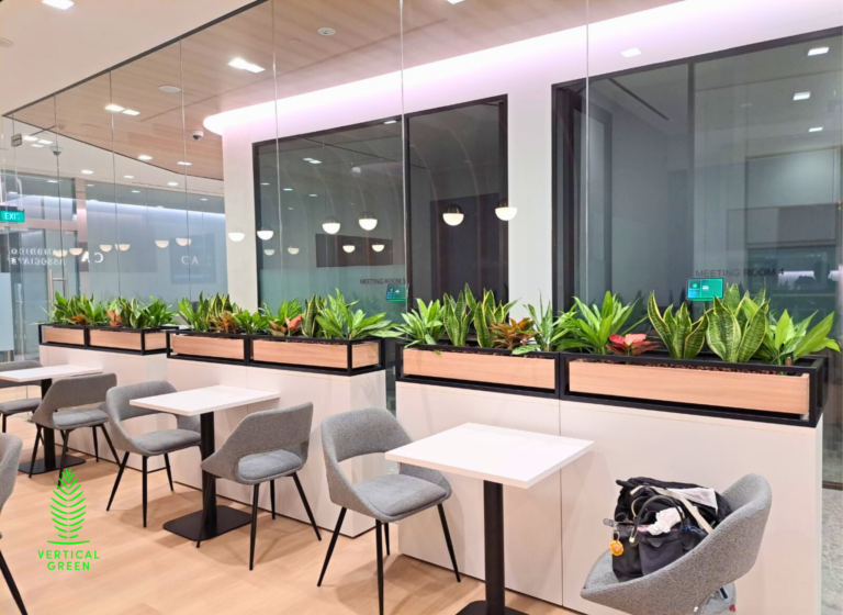 Live Tree Live Potted Plant Office Design Interior Design Vertical Green Singapore Malaysia Philippines Vertical Green Global