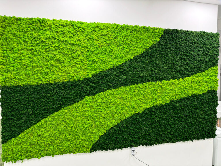 Moss Wall Preserved Wall Singapore Malaysia Philippines Office Design Interior Design