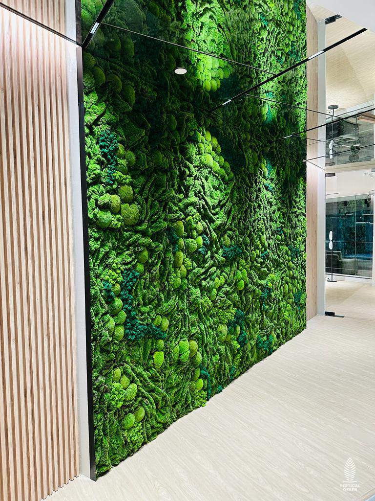 Moss Wall Preserved Wall Singapore Malaysia Philippines Office Design Interior Design