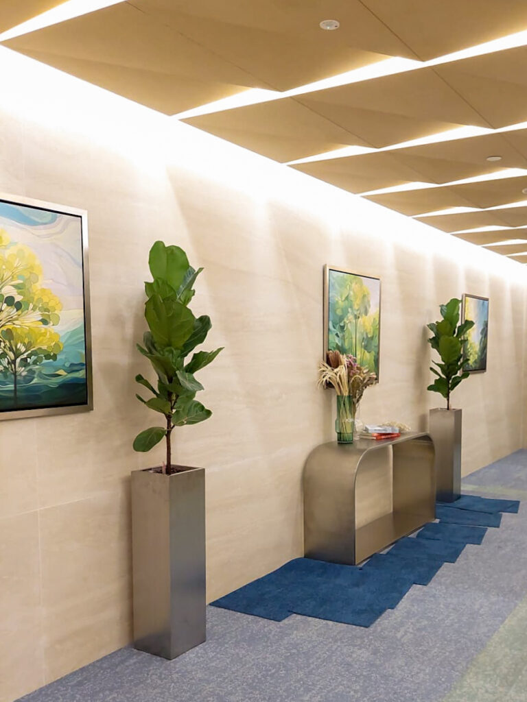 Live Potted Plants Office Plants Office Design Singapore Malaysia Philippines