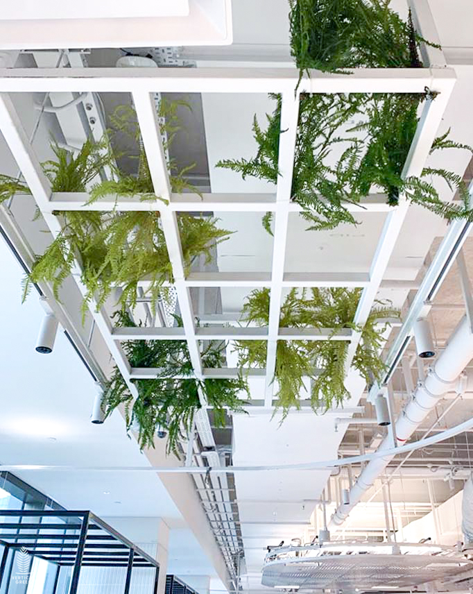 Preserved Green Wall Preserved Foliage Green Wall Moss Wall Vertical Green Singapore Malaysia Philippines Vertical Green Global