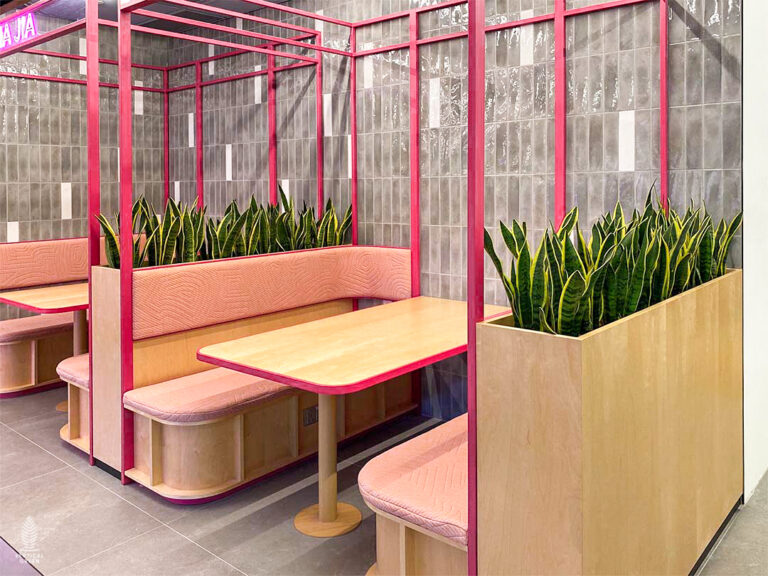 Live Potted Plants Office Plants Office Design Singapore Malaysia Philippines
