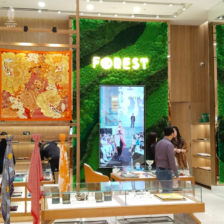 Moss Wall Preserved Wall Singapore Malaysia Philippines Office Design Interior Design