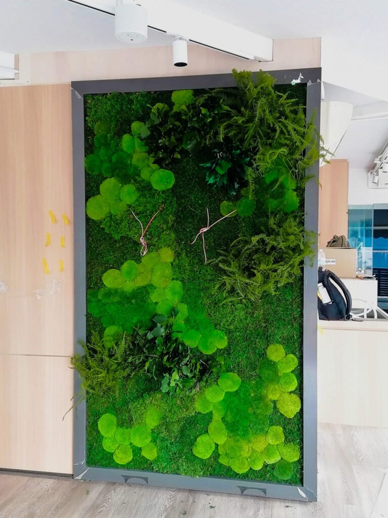 Moss Wall Preserved Wall Singapore Malaysia Philippines Office Design Interior Design