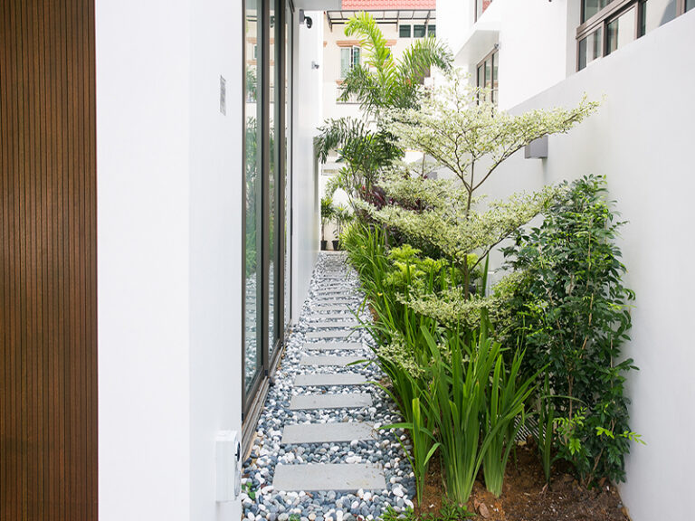 Landscape Greenery Landscape Plants Roof Plants Vertical Green Singapore Malaysia Philippines Vertical Green Global