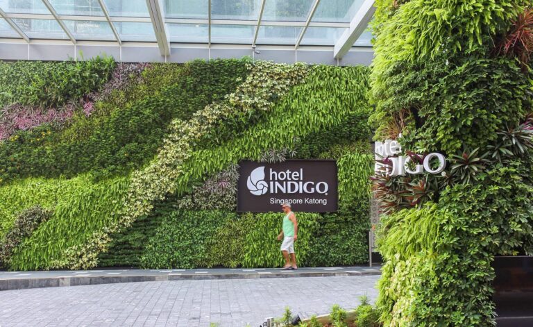 Hotel Indigo Living Greenery 2