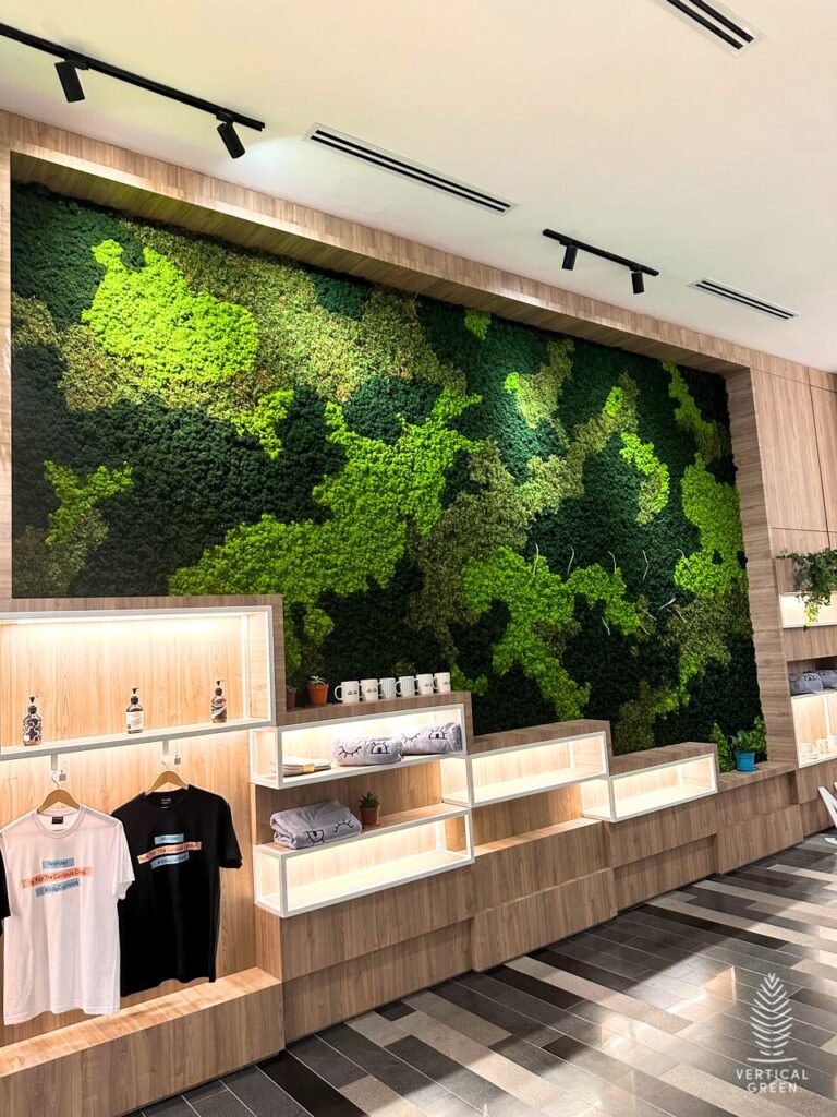 Moss Wall Preserved Wall Singapore Malaysia Philippines Office Design Interior Design
