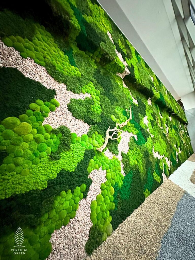 Moss Wall Preserved Wall Singapore Malaysia Philippines Office Design Interior Design