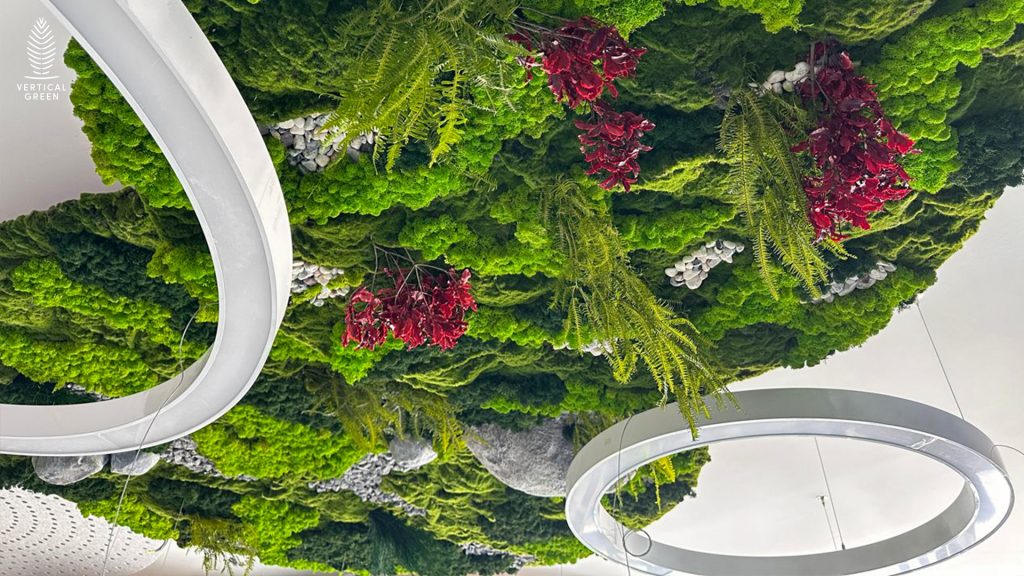 green wall vertical green vertical garden living wall moss wall malaysia hygromoss