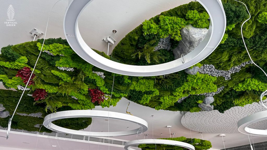 green wall vertical green vertical garden living wall moss wall malaysia hygromoss