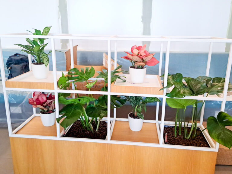 Live Potted Plants Office Plants Office Design Singapore Malaysia Philippines
