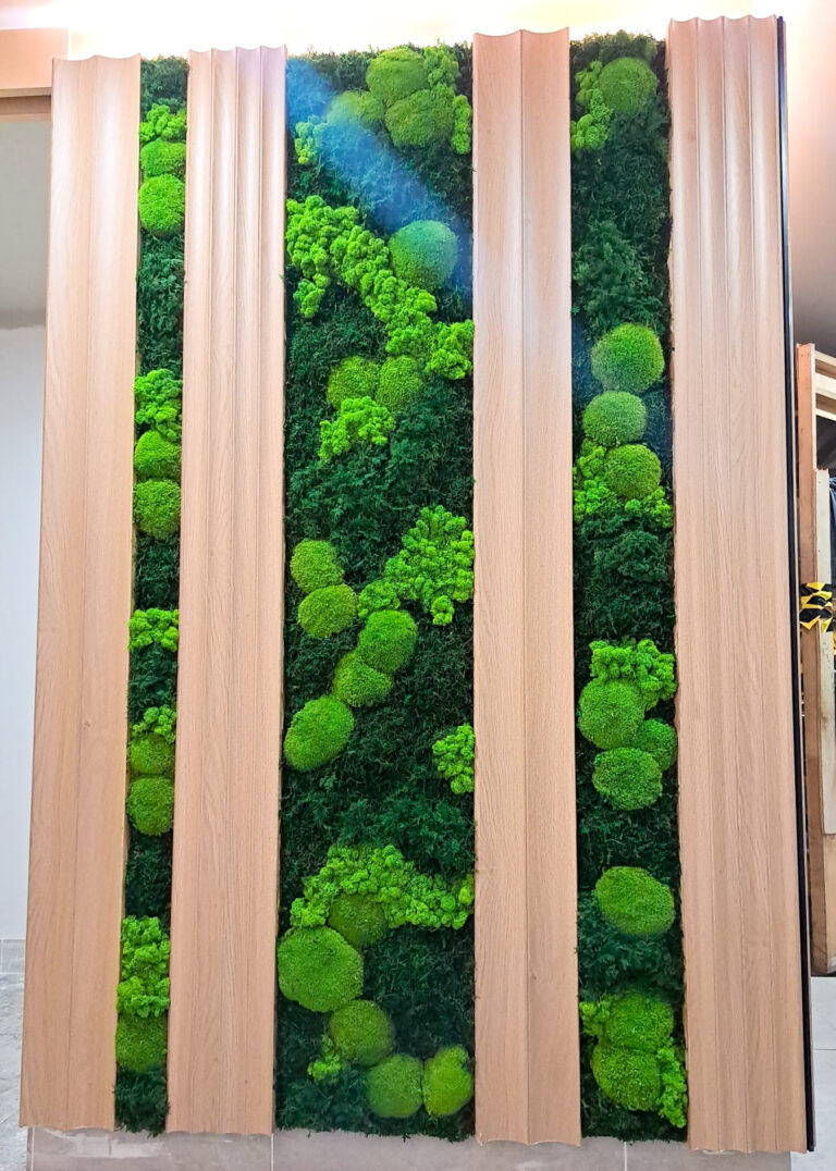 Moss Wall Preserved Wall Singapore Malaysia Philippines Office Design Interior Design