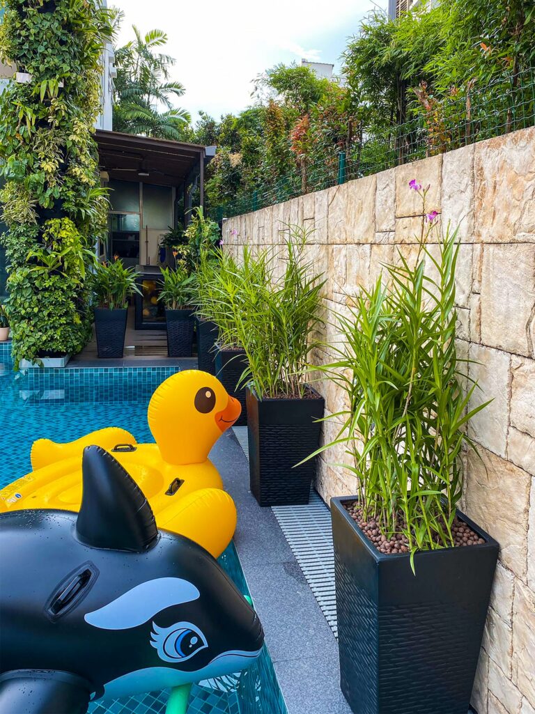 Live Tree Live Potted Plant Office Design Interior Design Vertical Green Singapore Malaysia Philippines Vertical Green Global