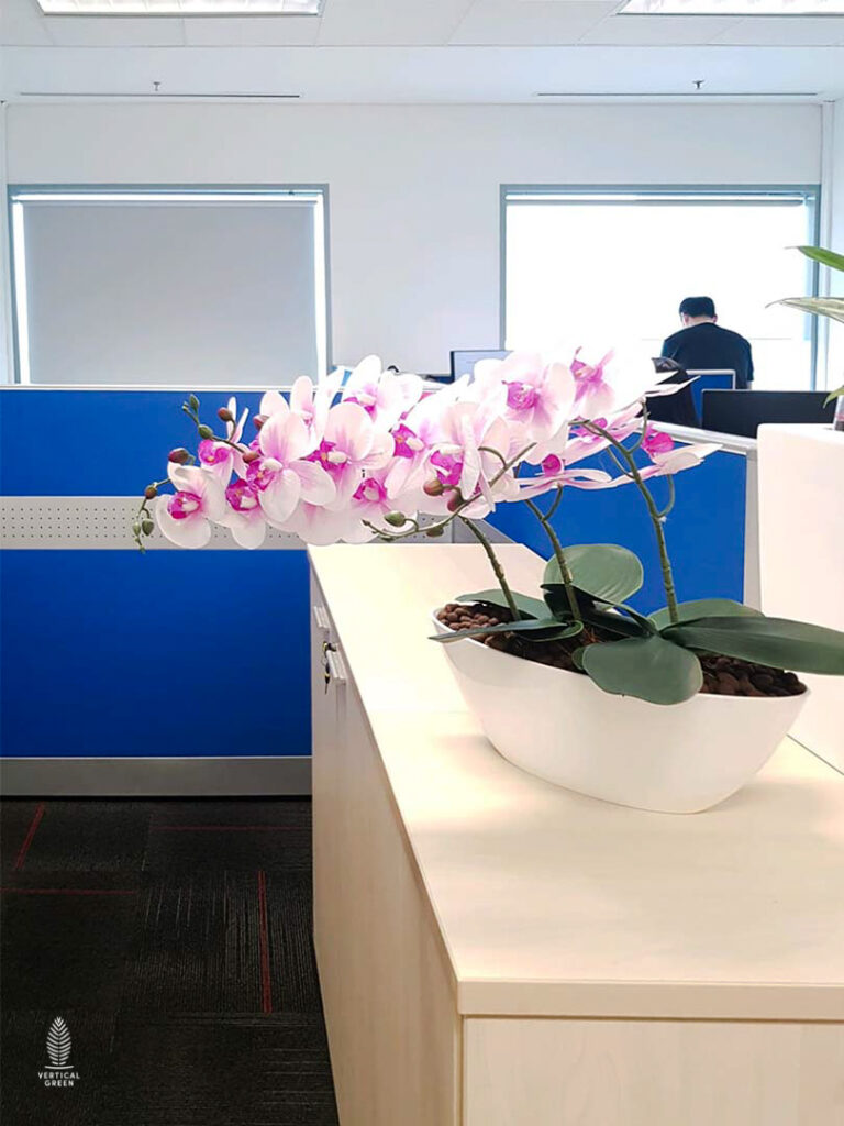 Live Tree Live Potted Plant Office Design Interior Design