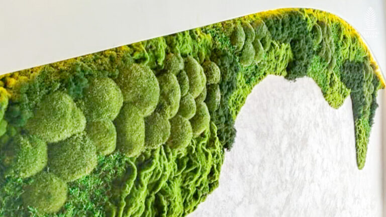 Moss Wall Preserved Wall Singapore Malaysia Philippines Office Design Interior Design