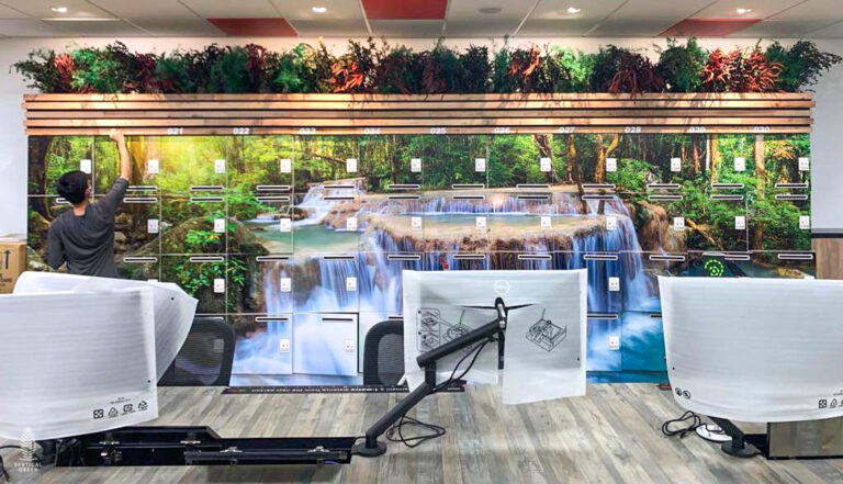 Preserved Green Wall Preserved Foliage Green Wall Moss Wall Vertical Green Singapore Malaysia Philippines Vertical Green Global