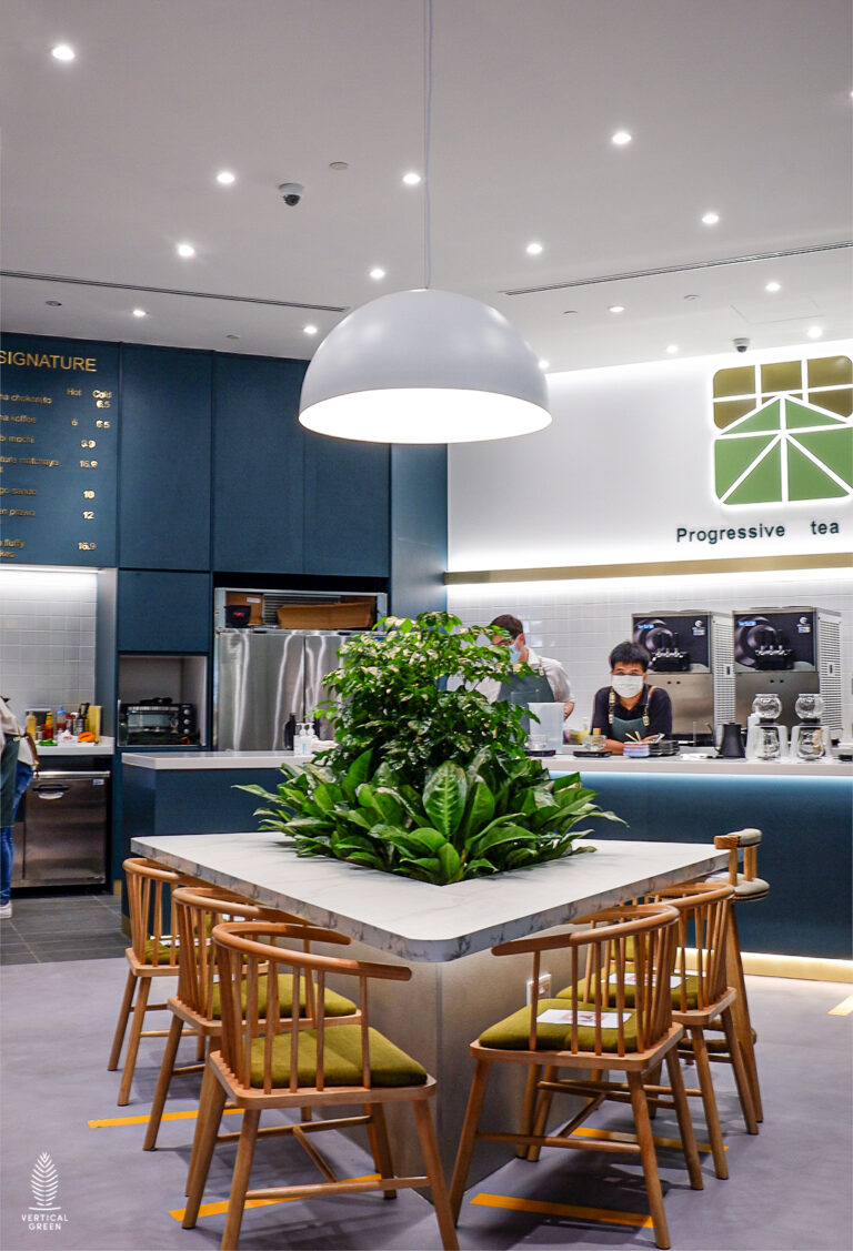 Live Tree Live Potted Plant Office Design Interior Design Vertical Green Singapore Malaysia Philippines Vertical Green Global