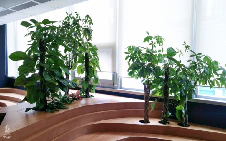Live Tree Live Potted Plant Office Design Interior Design Vertical Green Singapore Malaysia Philippines Vertical Green Global