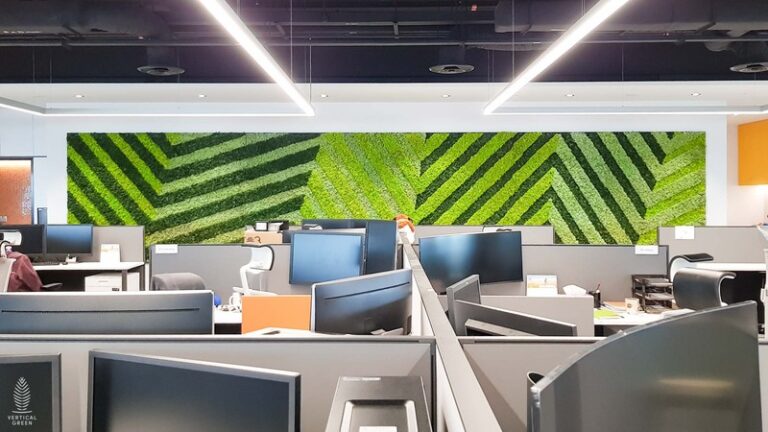 Make the Moss out of your Space