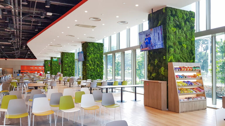 Moss Wall Preserved Wall Singapore Malaysia Philippines Office Design Interior Design Vertical Green