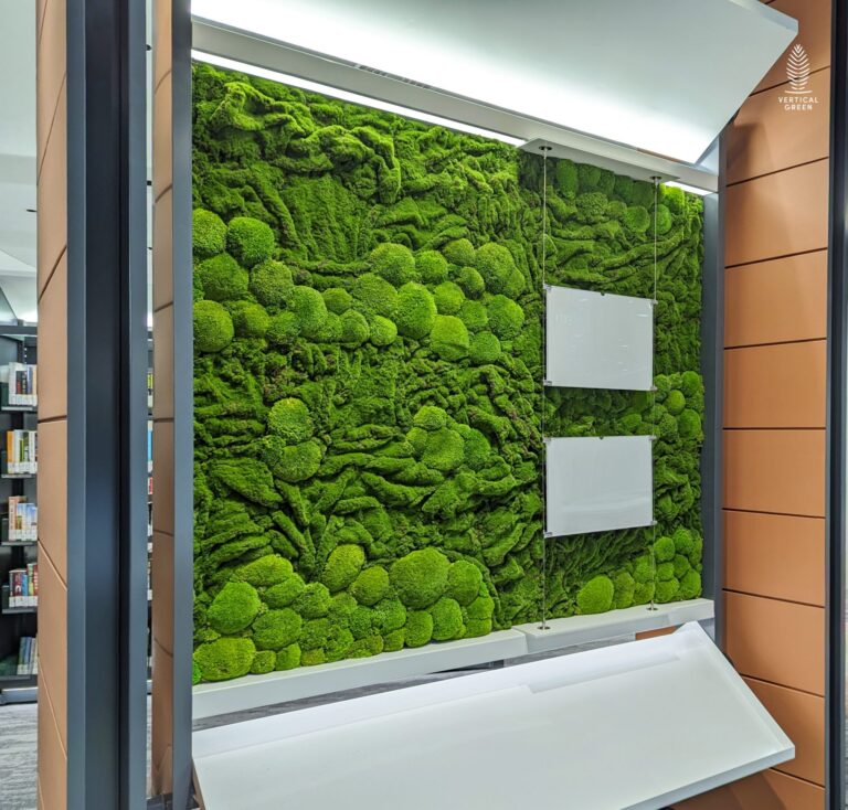 Moss Wall Preserved Wall Singapore Malaysia Philippines Office Design Interior Design