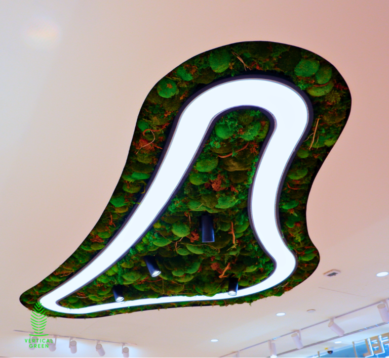 Moss Wall Preserved Wall Singapore Malaysia Philippines Office Design Interior Design