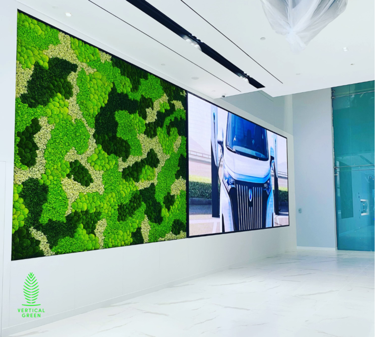 Moss Wall Preserved Wall Singapore Malaysia Philippines Office Design Interior Design
