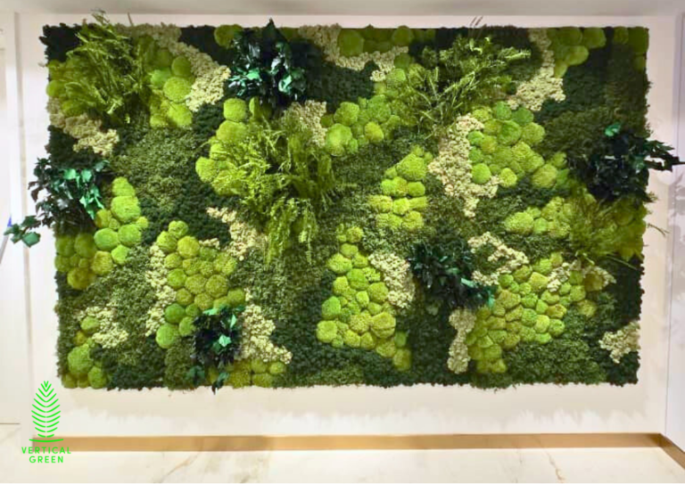 Moss Wall Preserved Wall Singapore Malaysia Philippines Office Design Interior Design
