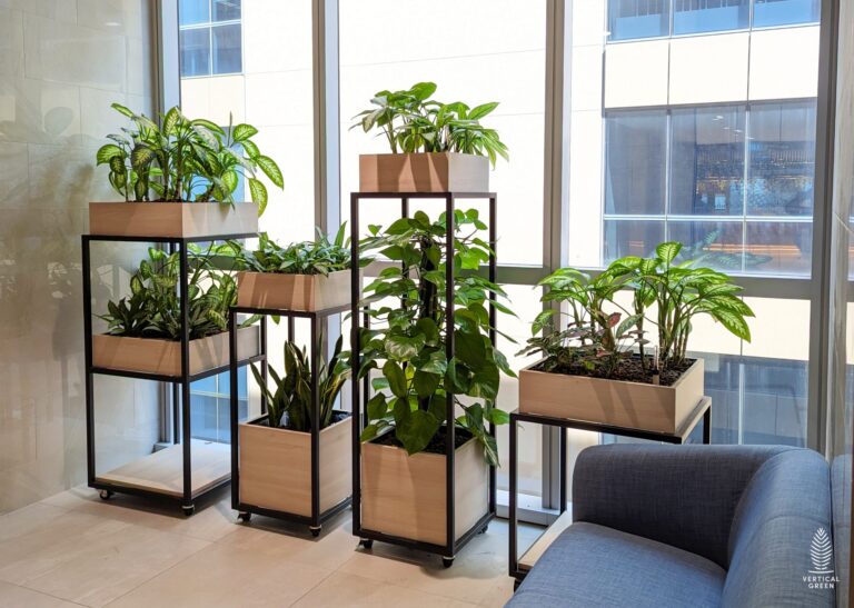 Live Potted Plants Office Plants Office Design Singapore Malaysia Philippines