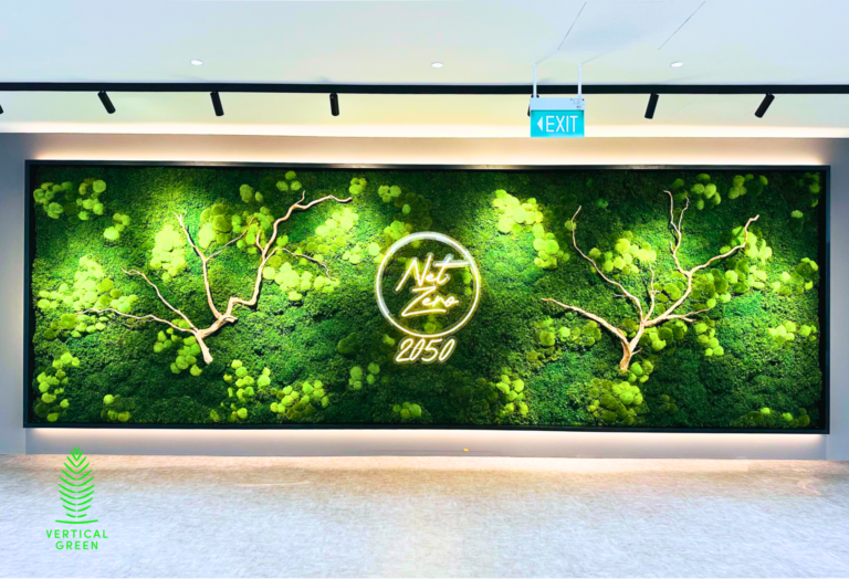 Moss Wall Preserved Wall Singapore Malaysia Philippines Office Design Interior Design