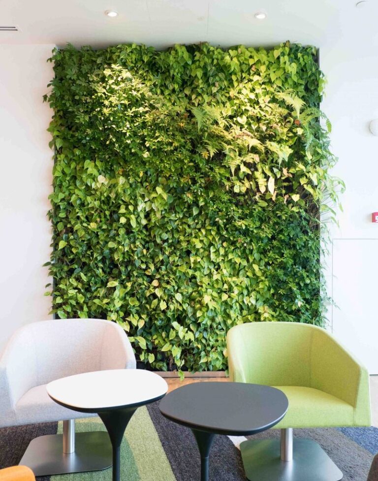 Green Walls And How It Benefits Focus And Creativity