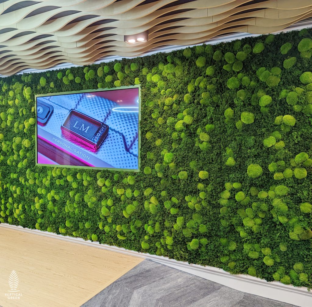 green wall vertical green vertical garden living wall moss wall malaysia hygromoss