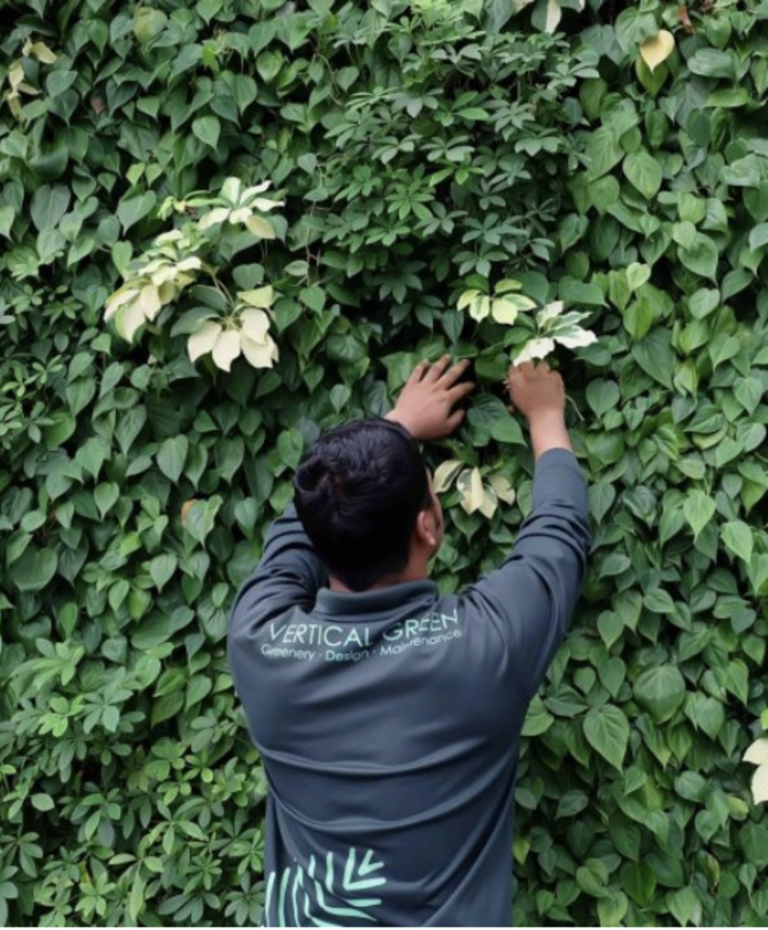 Vertical Green To The Rescue 🚒🍃