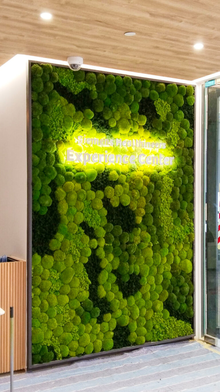 Moss Wall Preserved Wall Singapore Malaysia Philippines Office Design Interior Design