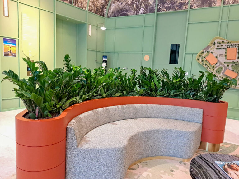 Live Potted Plants Office Plants Office Design Singapore Malaysia Philippines
