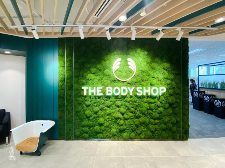 Moss Wall Preserved Wall Singapore Malaysia Philippines Office Design Interior Design