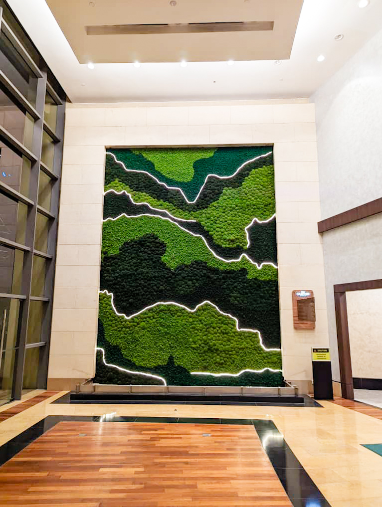 Moss Wall Preserved Wall Singapore Malaysia Philippines Office Design Interior Design
