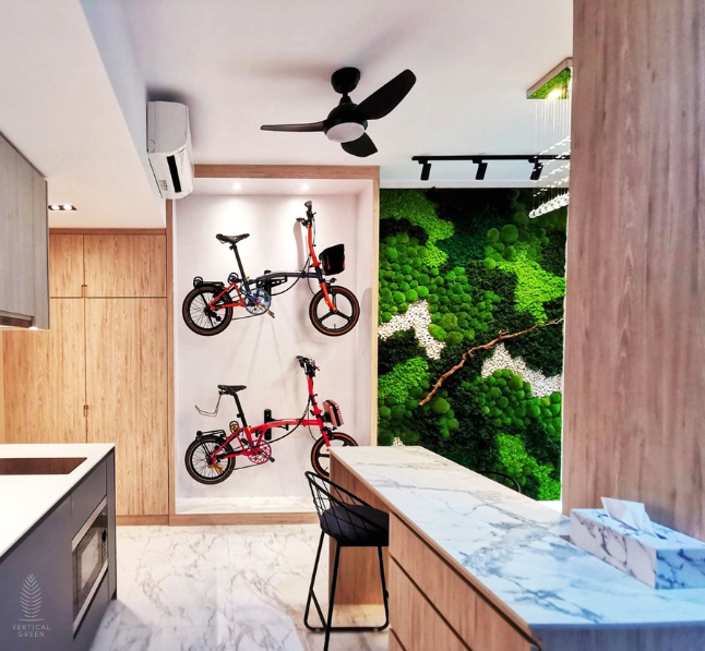 Moss Wall Preserved Wall Singapore Malaysia Philippines Office Design Interior Design