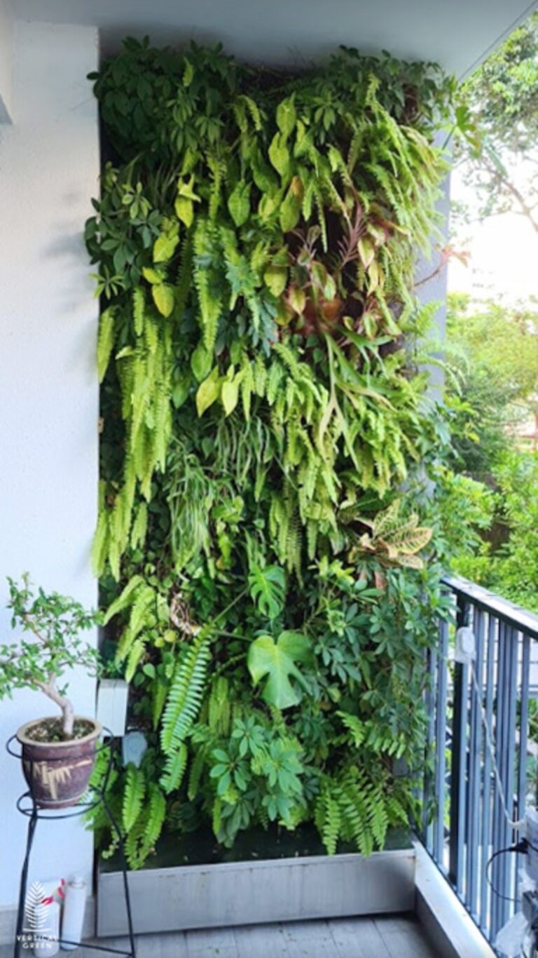 The Rainforest Vertical Green Live Green Wall Singapore Malaysia Philippines Interior Design Office Design