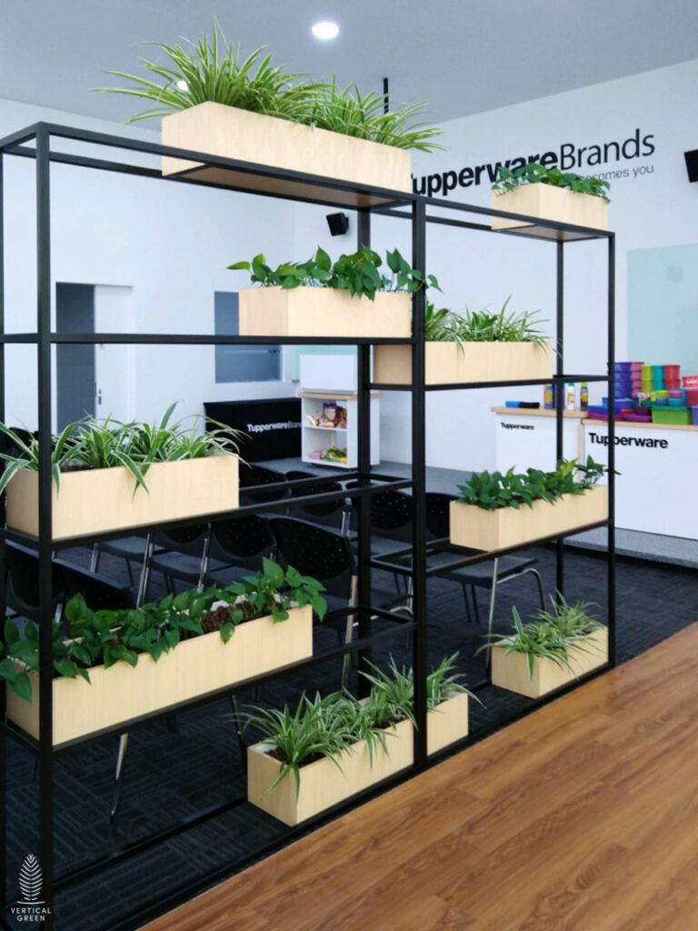 Live Tree Live Potted Plant Office Design Interior Design Vertical Green Singapore Malaysia Philippines Vertical Green Global