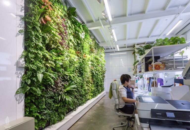 Boosting Wellness Indoors
